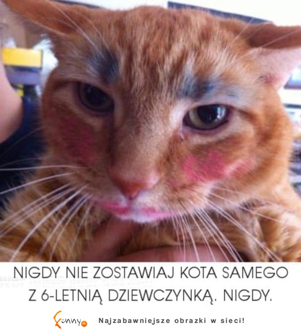 Nigdy nie zostawiaj kota samego z 6-letnią dziewczynką. :D