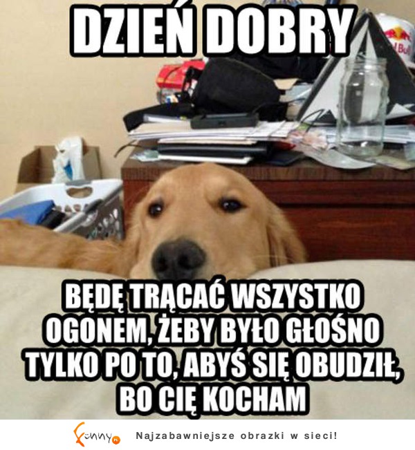 Dzień Dobry :)