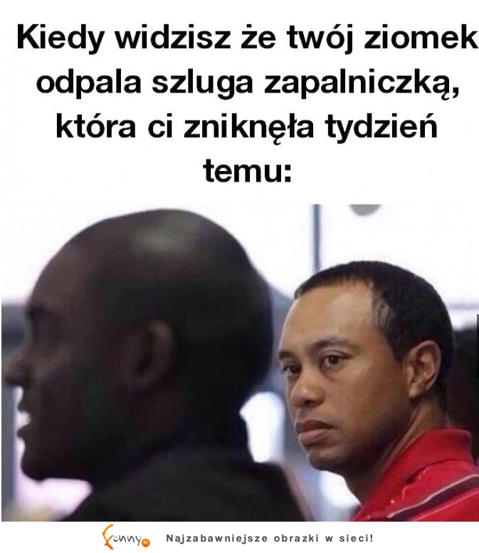 Gdyby wzrok mógł zabijać...