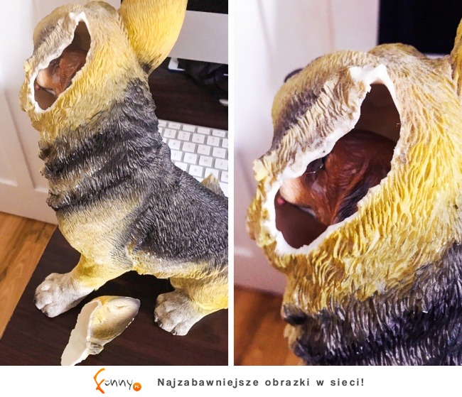 Niespodzianki, których na pewno nikt by się nie spodziewał... Niespodzianki, których na pewno nikt by się nie spodziewał...