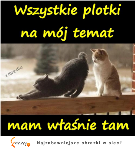 Wszystkie plotki na mój temat :D