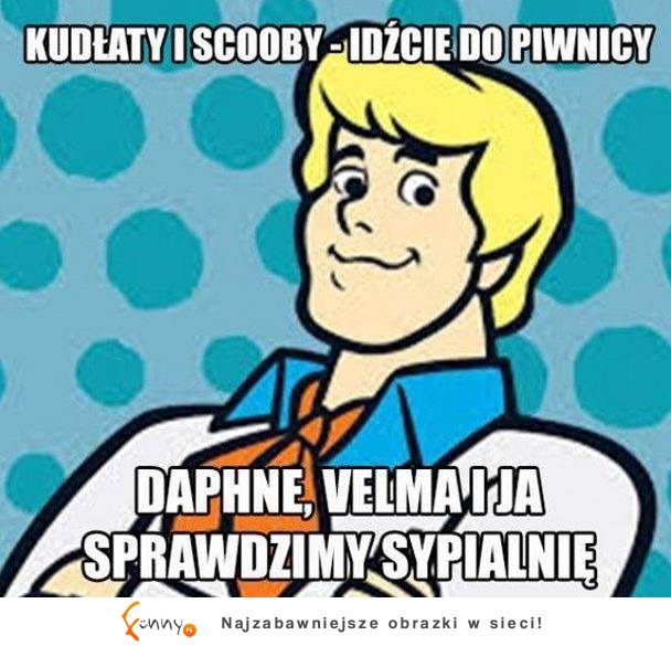 Kudłaty i Scooby