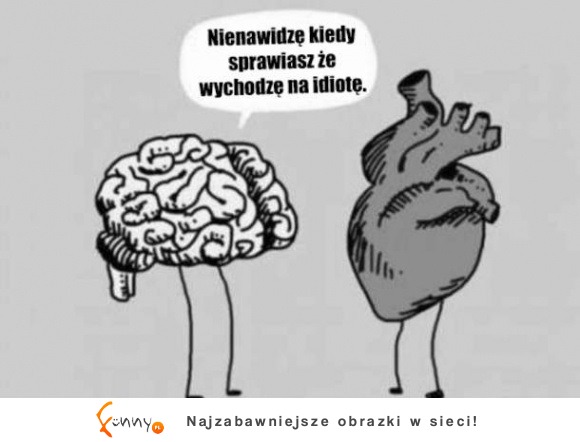 nienawidzę