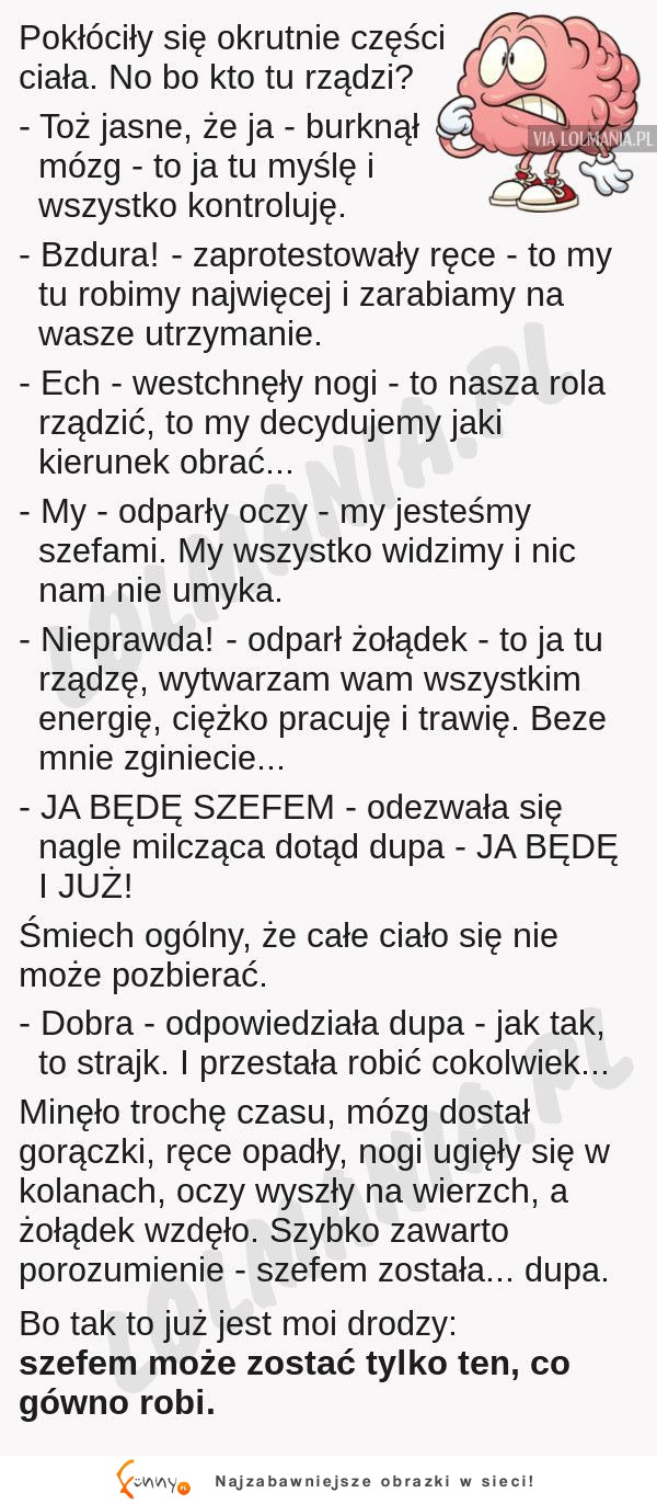 Pokłóciły się części ciała o to kto rządzi! Okazało się, że... HAHA DOBRE!