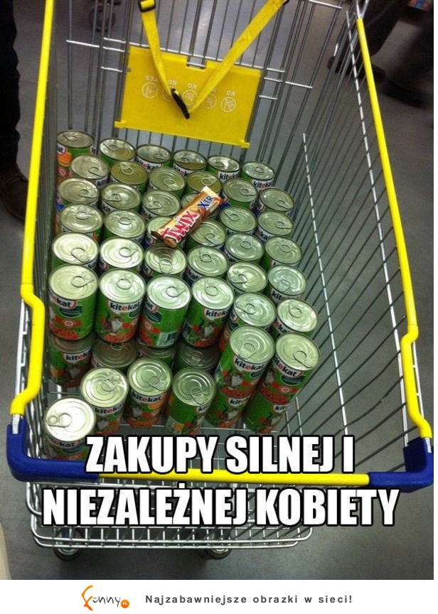 Silne i niezależne kobiety