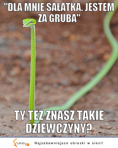 Dbam o linię