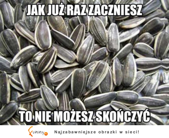 nałogowo