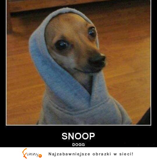SNOOP DOG!