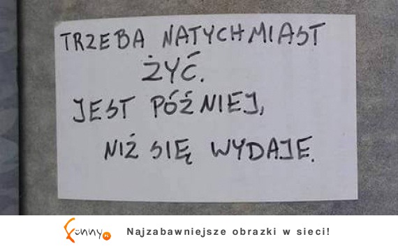 Trzeba żyć