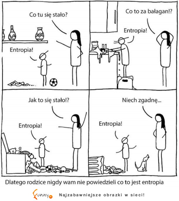 Entropia