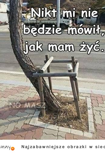 no właśnie!