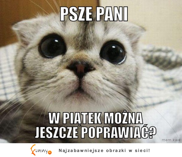 Psze pani ;)