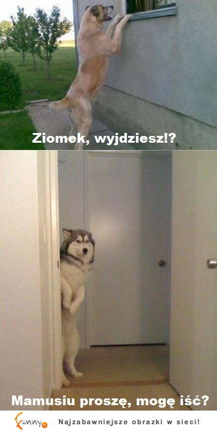 Ziomek, wyjdziesz