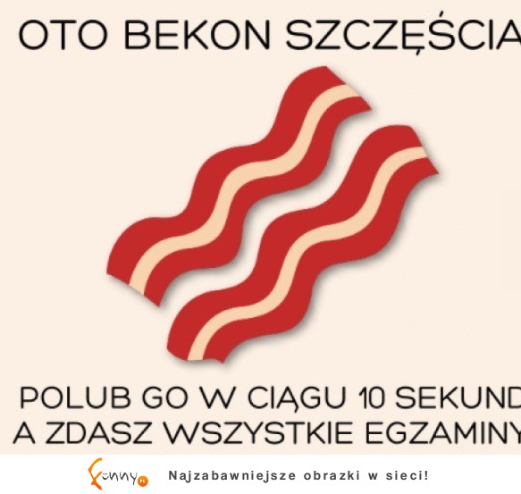 Oto bekon szczęścia - Copy