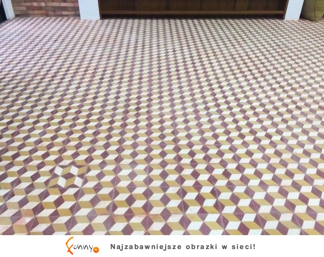 Zdjęcia, które wywołują mieszane uczucia Zdjęcia, które wywołują mieszane uczucia