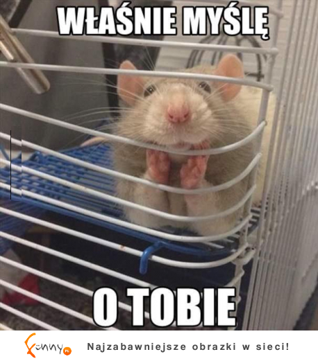 Właśnie myślę o tobie