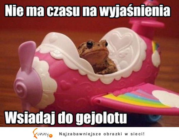 Wsiadaj do gejolotu XD