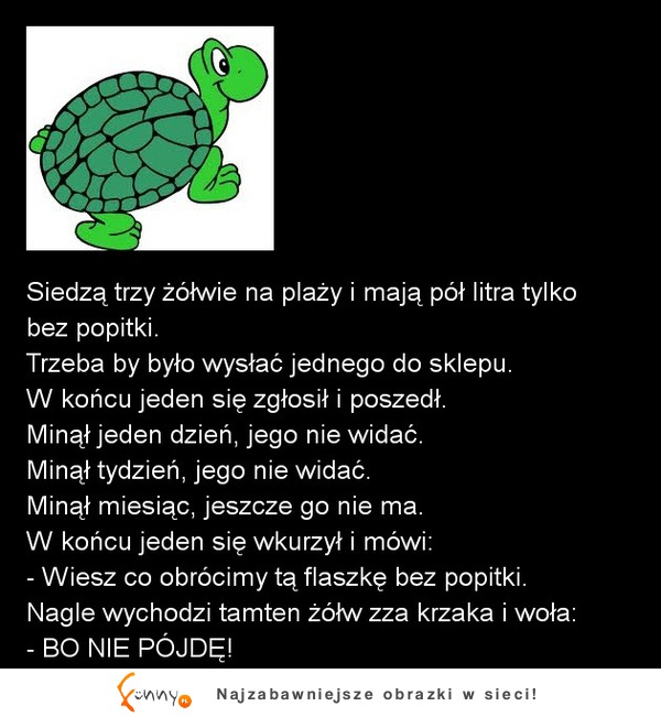 Siedza trzy żółwie na plaży i mają pół litra tylko bez popitki :D