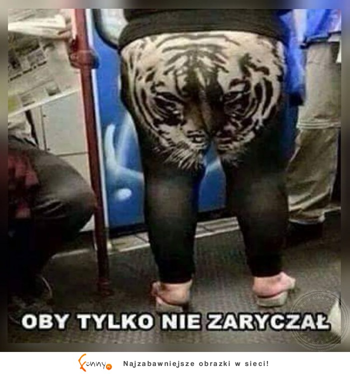 Oby tylko nie zaryczał