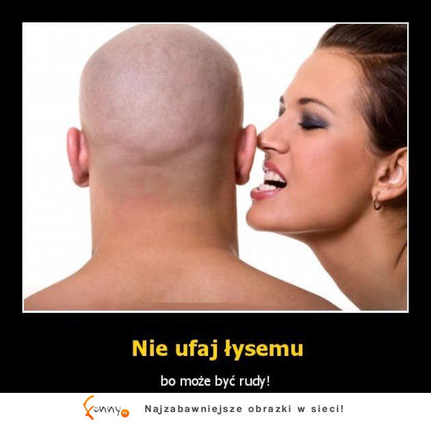 Nie ufaj łysemu