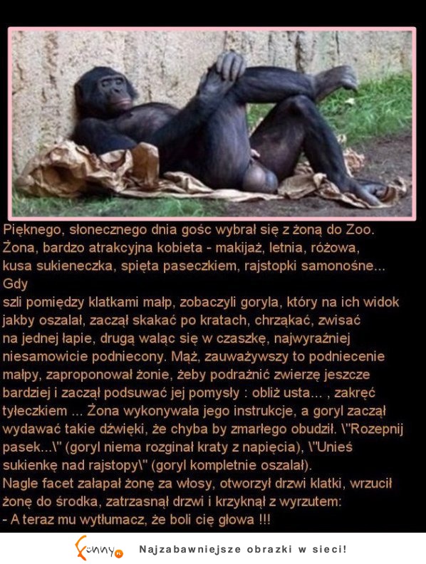 Mąż zabrał żonę do ZOO. I wywinął jej niezły numer! PORAŻKA! :)