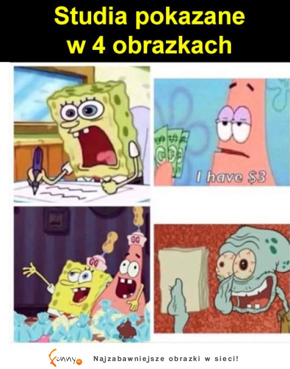 Studia na jednym obrazku