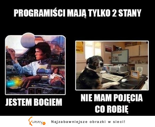 Programiści tacy są