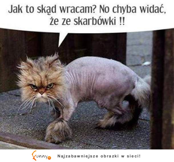 Widać widać