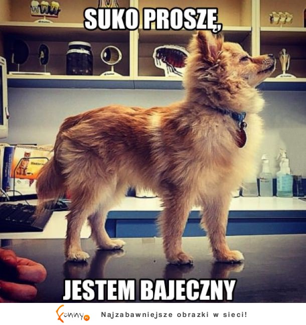 Jestem bajeczny