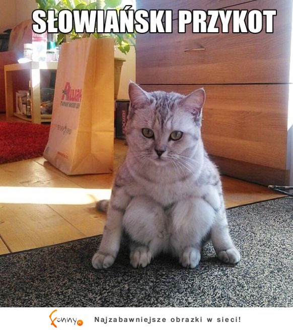 PRZYKOT