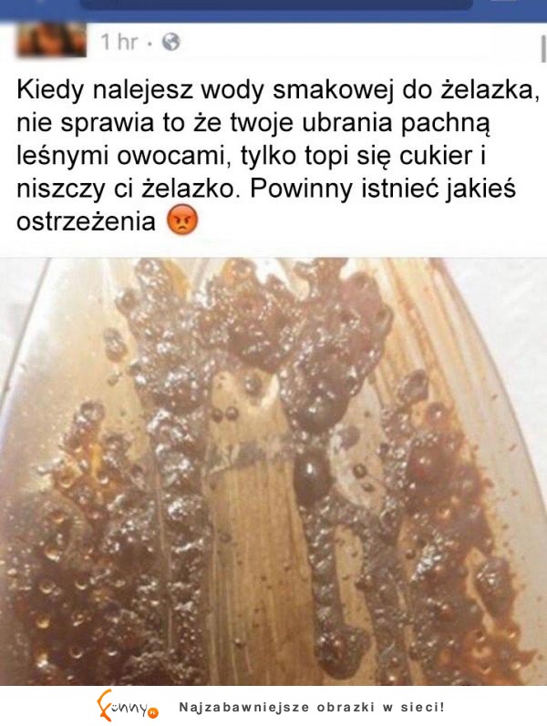 Zapach leśnych owoców