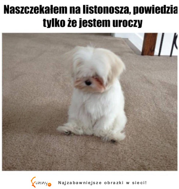 Ale słodziak