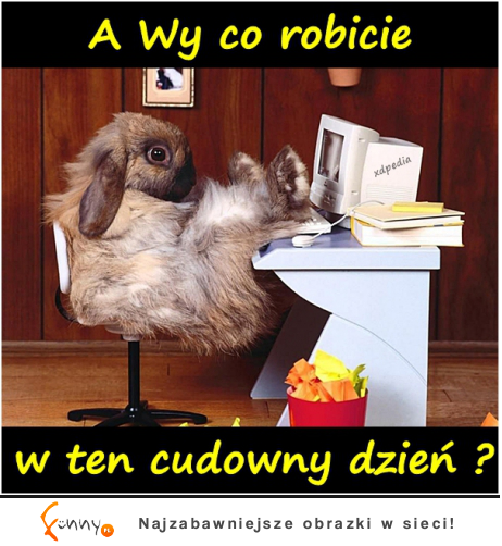 A wy co robicie