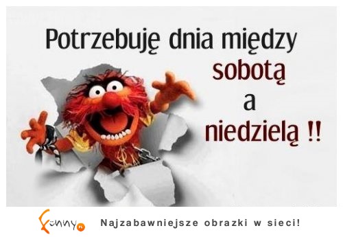 Potrzebuję dnia