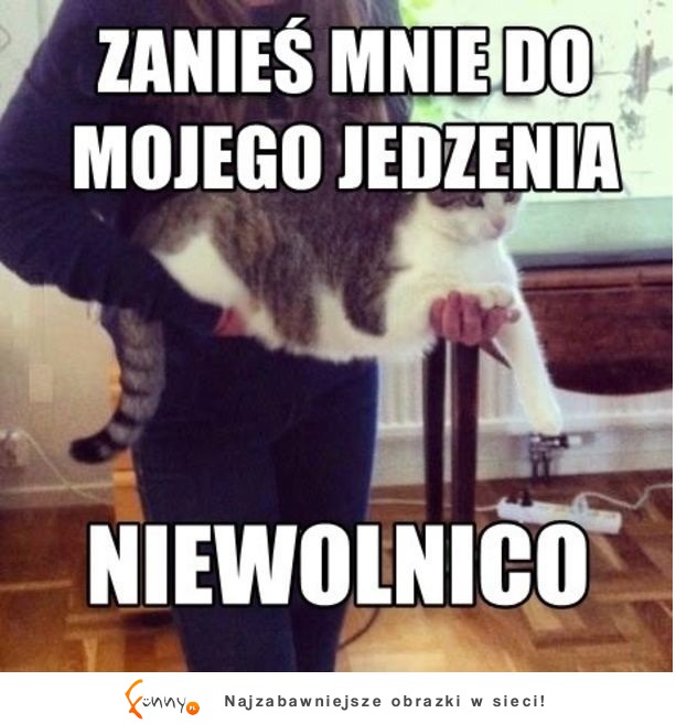 Zanieś mnie