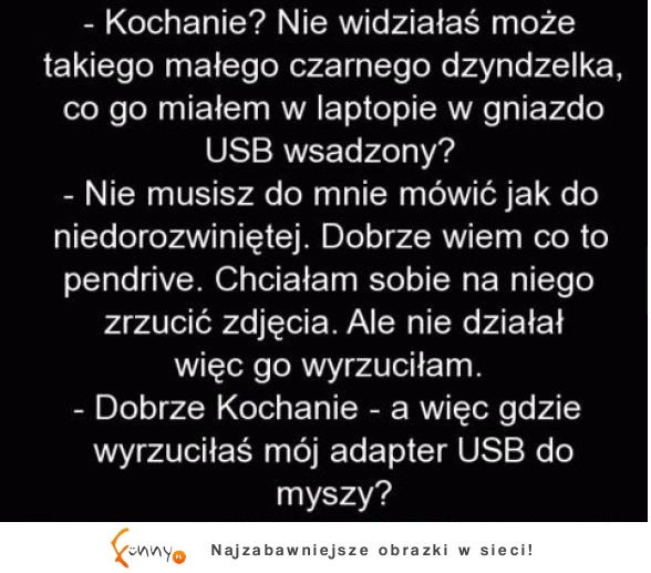 Dzyndzelek w laptopie! haha