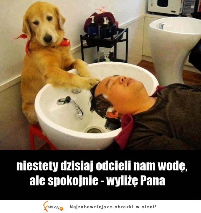 Gdyby pies był fryzjerem i odcięliby wodę XD Riposta doskonała :D