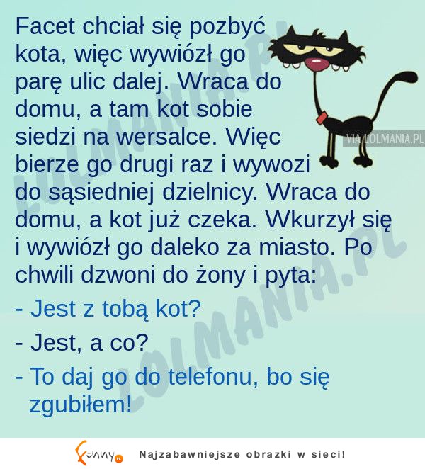 Facet miał dosyc swojego kota! HAHA BEKA