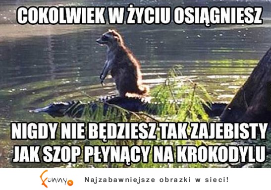 nigdy taki nie będziesz