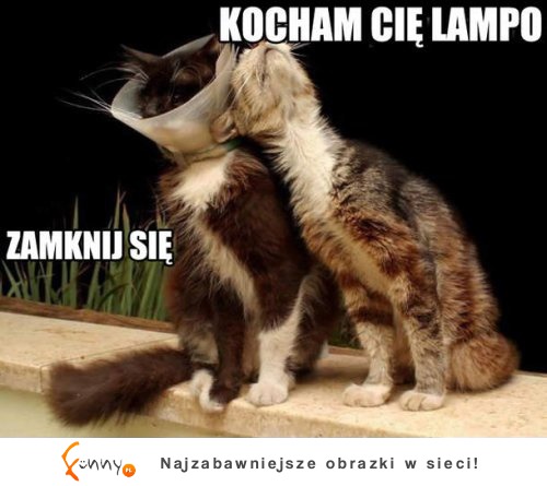 Kocham cię lampo