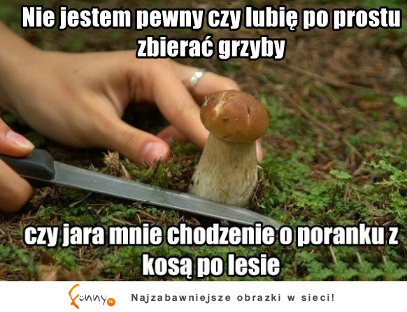 Dziwny jest