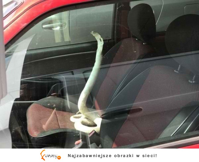 Zdjęcia, które sprawią, że poczujesz się przerażony! Zdjęcia, które sprawią, że poczujesz się przerażony!