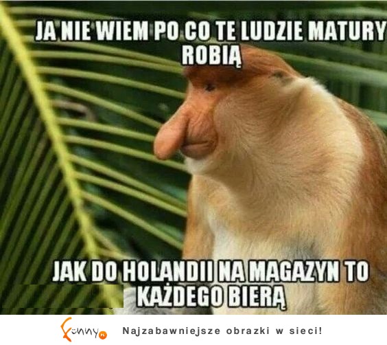 Ja nie wiem po co, skoro w... XD