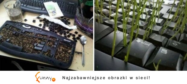 Koledzy z biura – z nimi nigdy nie będziesz się nudzić w pracy Koledzy z biura – z nimi nigdy nie będziesz się nudzić w pracy
