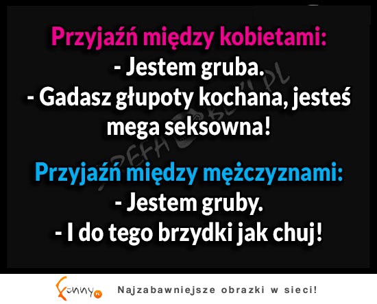 Przyjaźń (2)