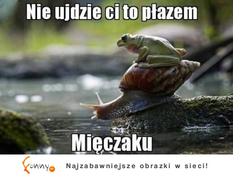 Mięczaku