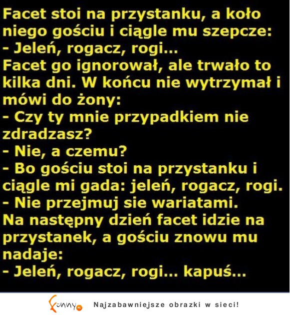 Na przystanku! Jeleń, rogacz,rogi... :)