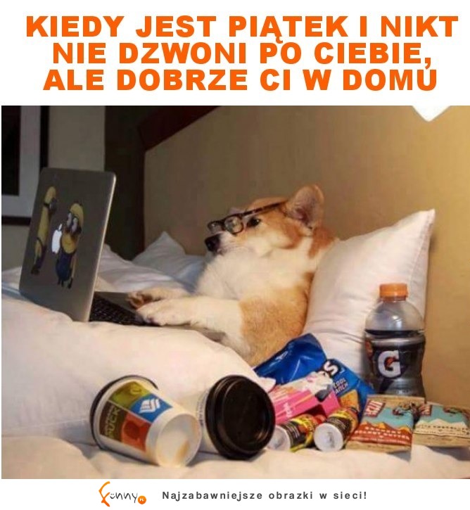 JA TAK MAM CODZIENNIE!