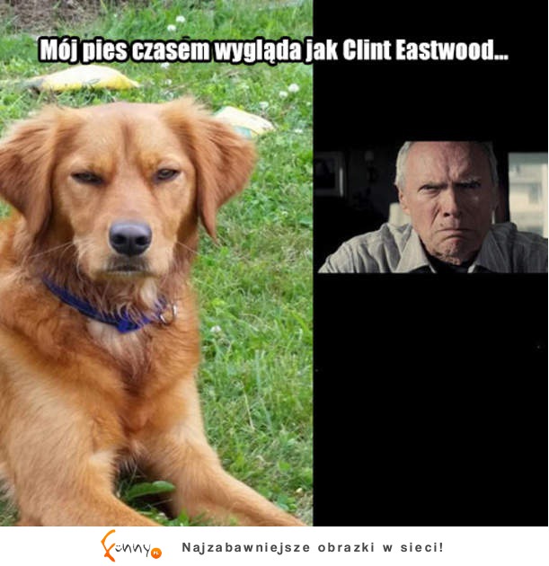 Clint Eastwood