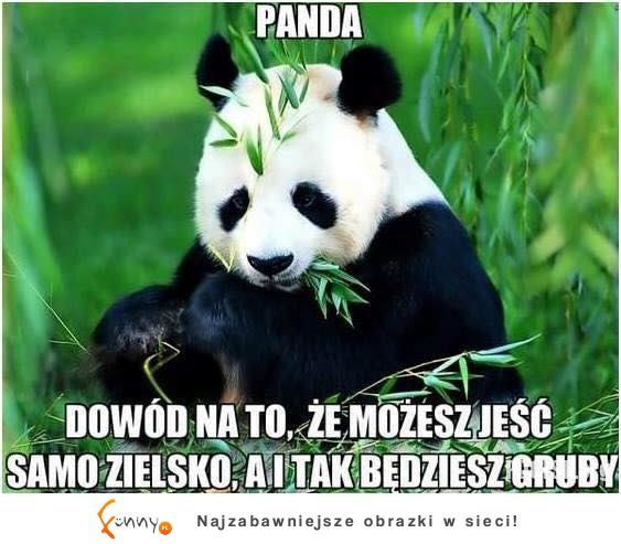 Po co się męczyć?